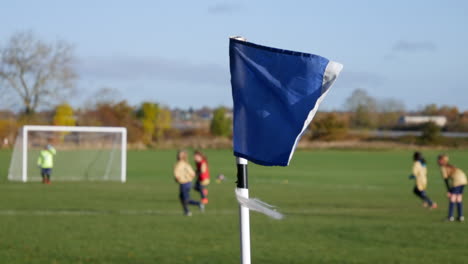 girls playing football on a soccer field pitch