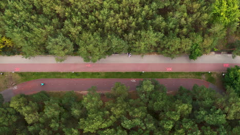 aerial top down shot of walkway and bikeway with cyclist in forest trees in jelitkowo, poland