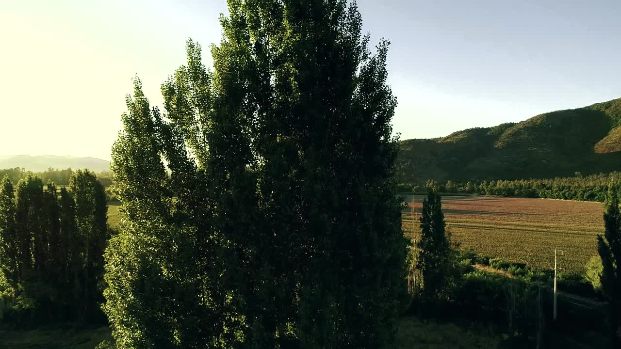 видеосъемка с беспилотника с частотой 60 кадров в секунду при подъеме и опускании карданного шарнира