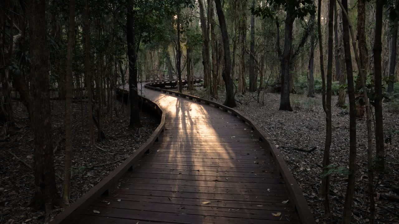 foto de mano del sendero del paseo marítimo de melaleuca a la luz del sol de la mañana, parque de conservación del lago coombabah, gold coast, queensland
