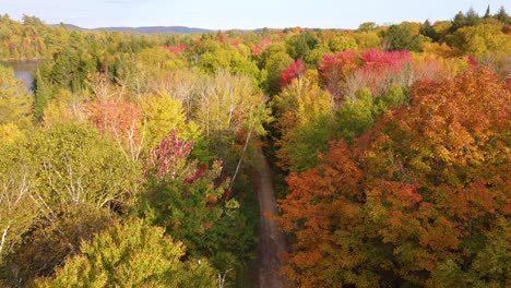 drone approaching the autumnal treetops of the la vérendrye wildlife reserve forest located in montréal, québec, canada