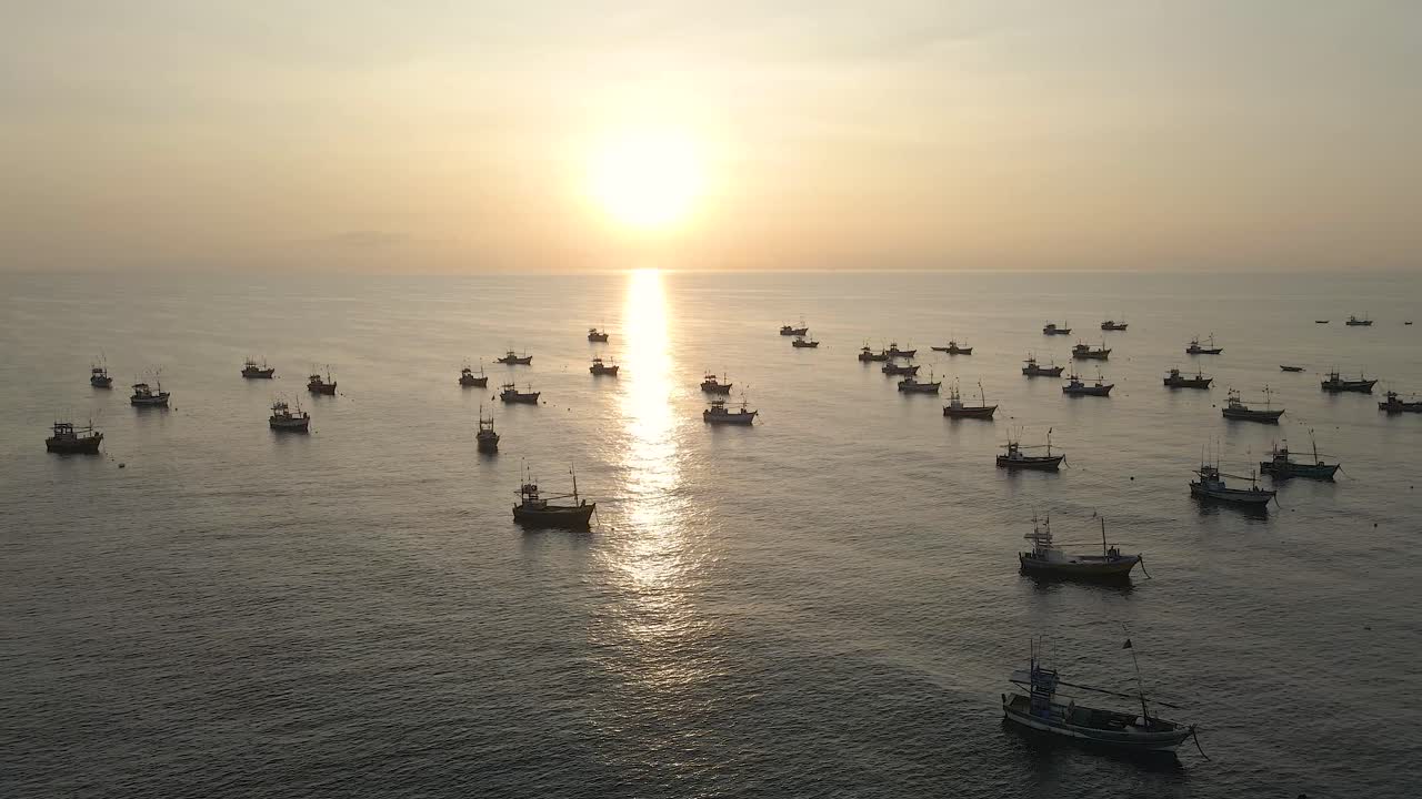 toma aérea de drones de barcos pesqueros de sri lanka anclados al atardecer