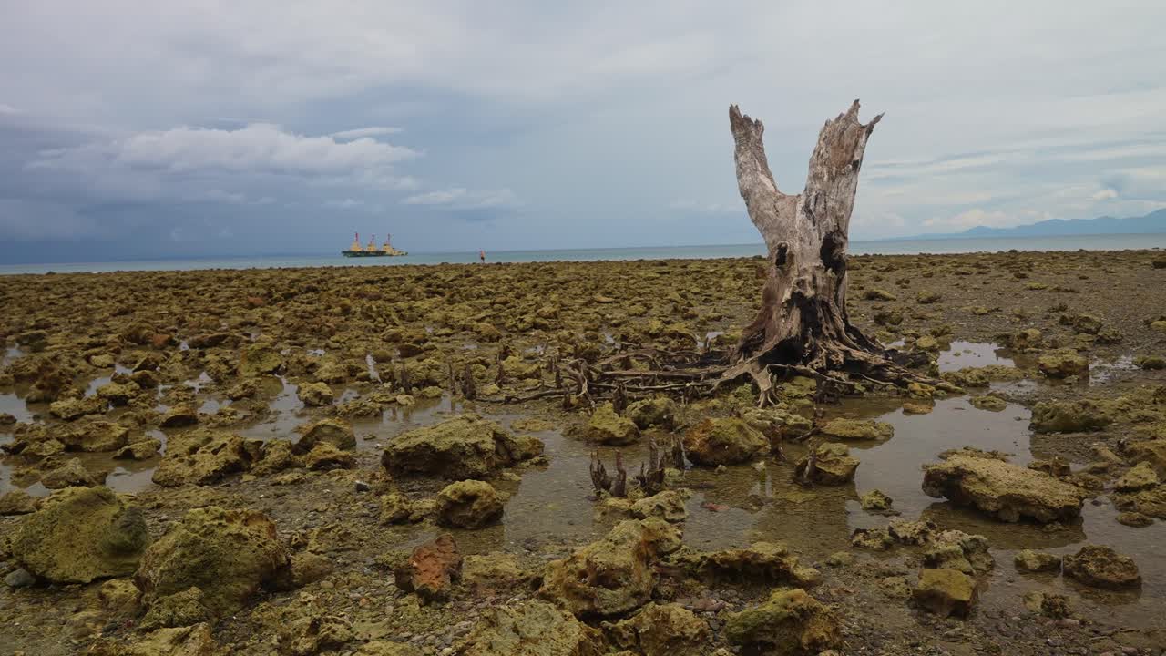 A still shot of a rocky shoreline at low tide with a large weathered tree stump, distant yellow offshore platform, and clouds on the horizon of Mauban Port, Quezon Province Philippines