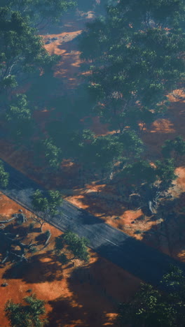 aerial view of australian outback road and forest