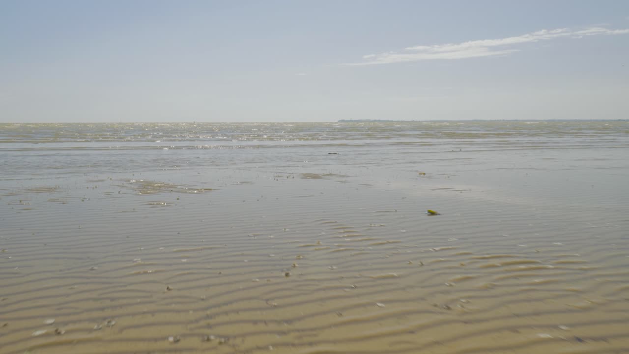 잉글랜드 에섹스 주 하위치 하버 에서 평온 한 파도 와 함께 바다 를 날아다니다