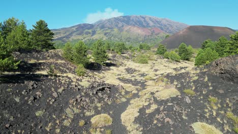 monte etna volcán norte, paisaje natural en sicilia, italia