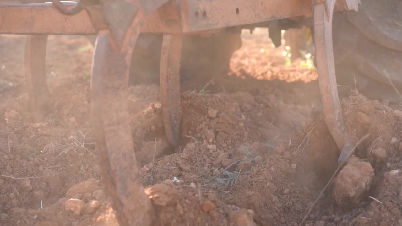 tractor trabajando la tierra en campos de oliva