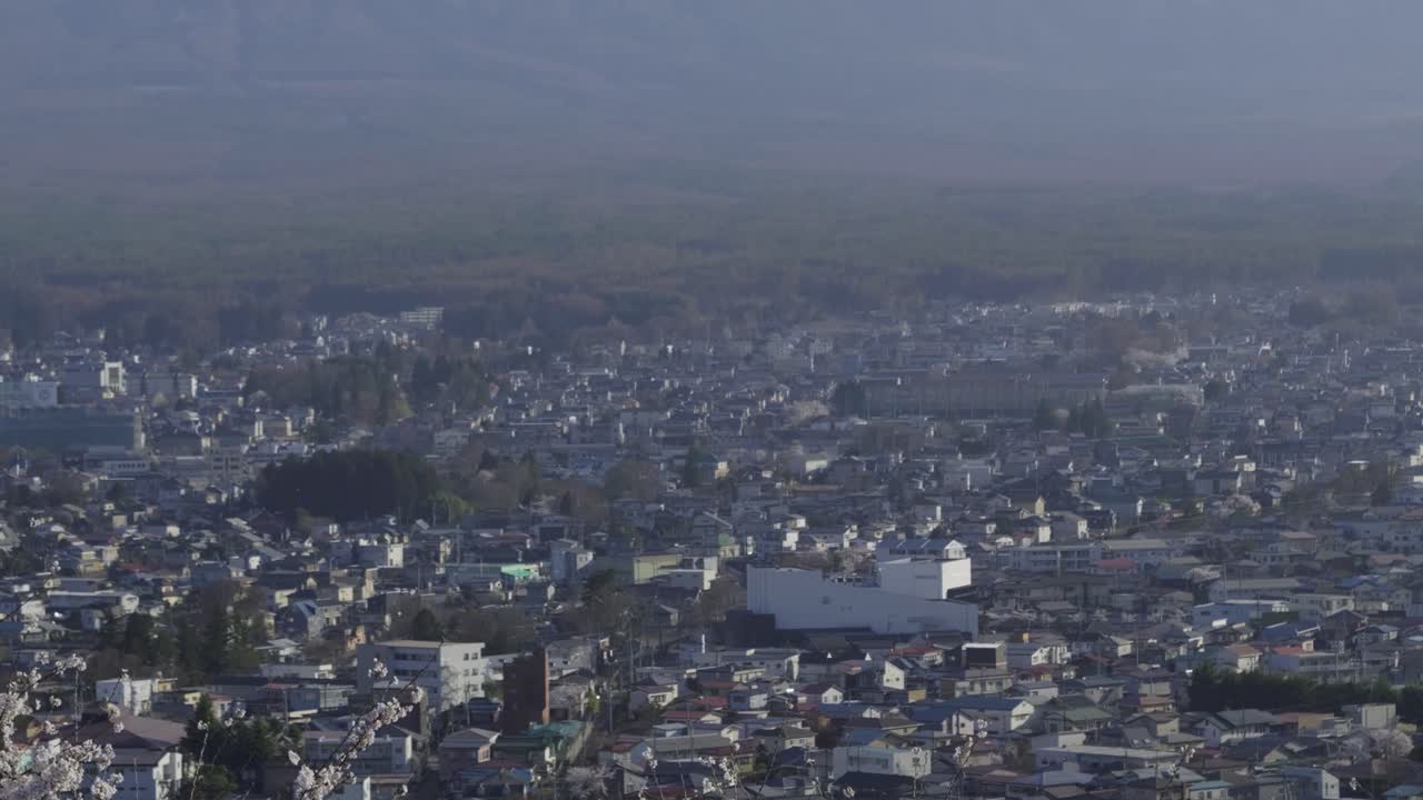 Cinematic tilt up over Kawaguchiko city and Mt. Fuji during Sakura season