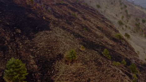 Auswirkungen-Des-Klimawandels-Auf-Hügel,-Nachdem-Ein-Feuer-Land-Zerstörte