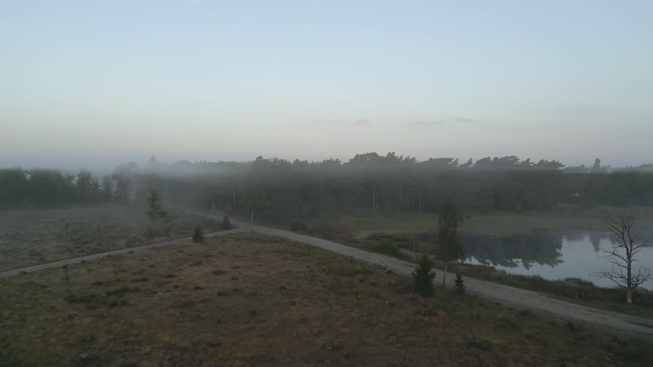 una caminata por la mañana en el bosque