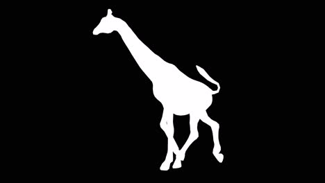 a giraffe running on black background with alpha channel included at the end of the video, 3d animation, side view, animated animals, seamless loop animation