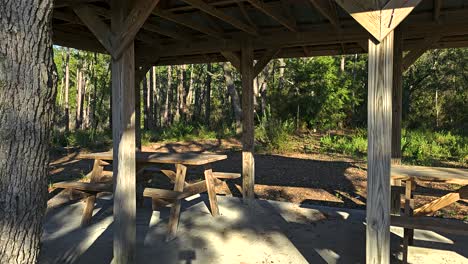 Costumed-inflatable-axolotl-walking-up-to-and-sitting-at-picnic-table-under-a-pavilion-before-walking-away