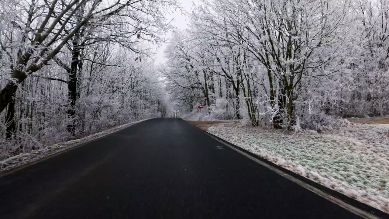 POV from a car coming to a forest covered in white frost in winter, overcast