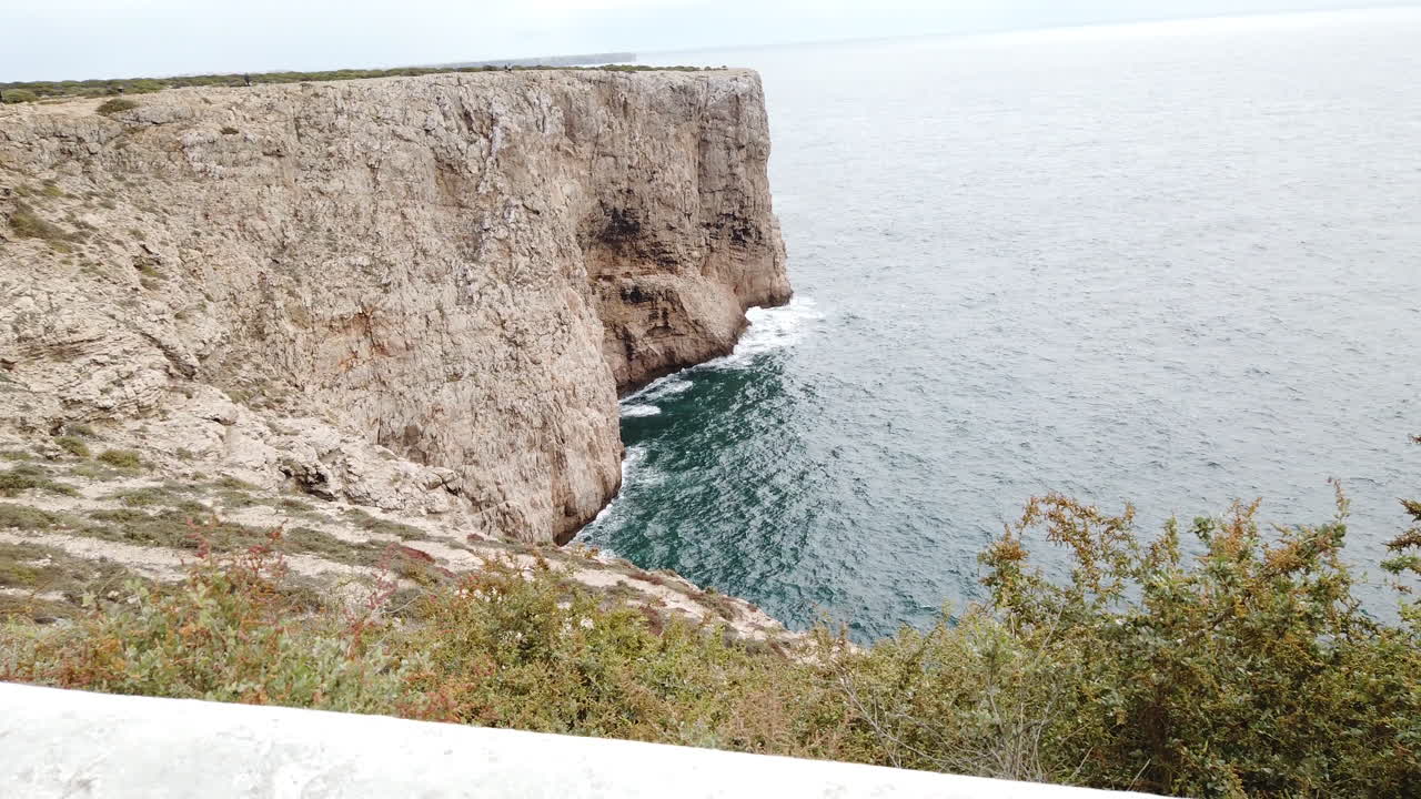 cat walking on a wall with the gigantic rock coast in the background