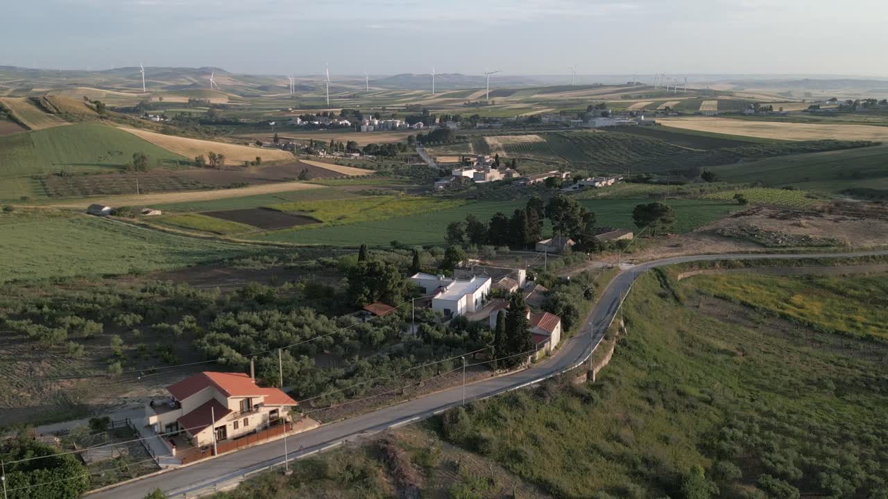 aerial Sicily Italy olive tree plantation for olive oil production hills landscape with wind turbine at distance