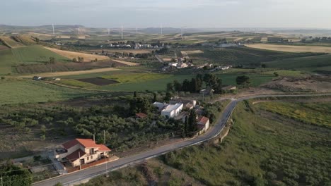 aerial-Sicily-Italy-olive-tree-plantation-for-olive-oil-production-hills-landscape-with-wind-turbine-at-distance