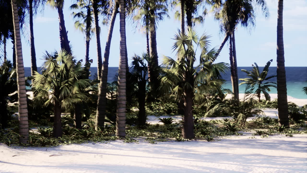 나무 와 파란 하늘 이 있는 열대 해변