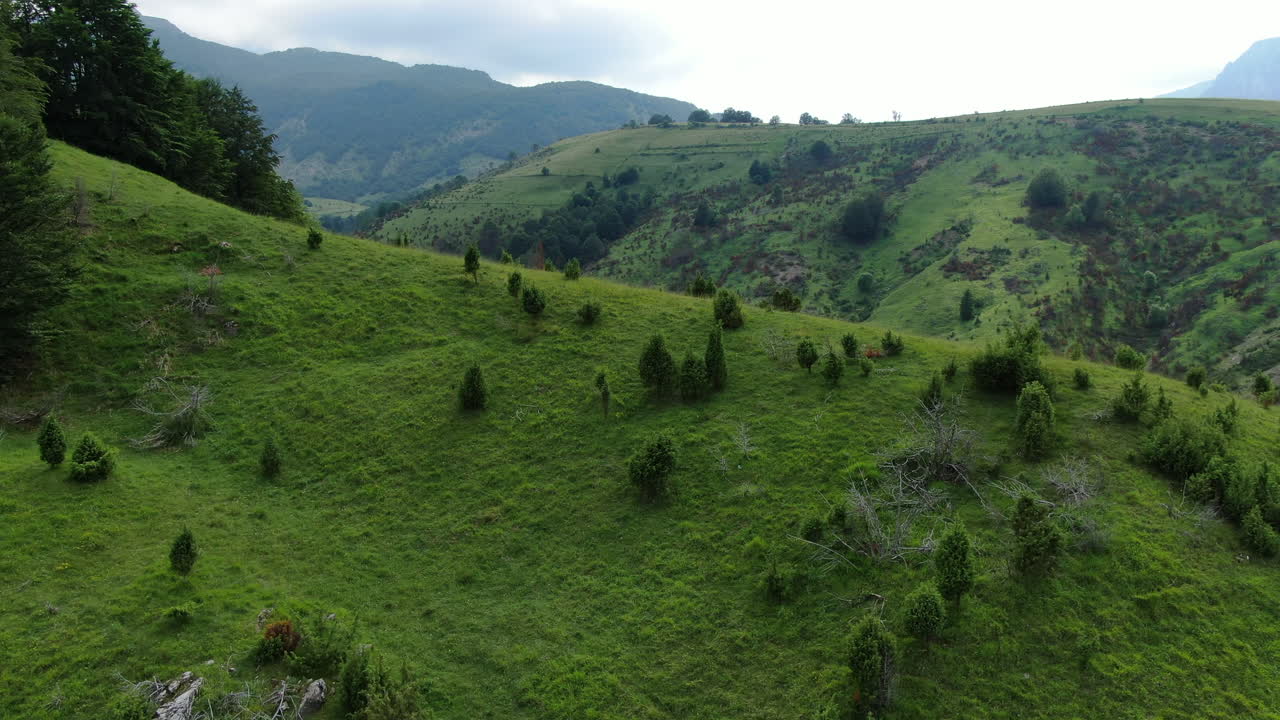 Green mountain hillside dotted with sparse trees under an overcast sky The sloping landscape provides a serene view of natural beauty and tranquility