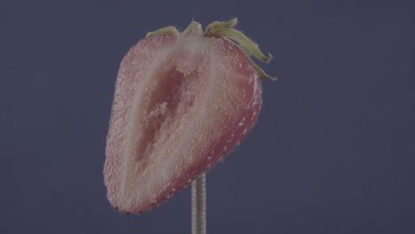 strawberry rotating with loop on blue screen for chroma key