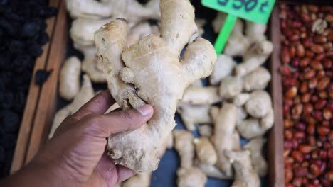 hand holding fresh ginger at a market