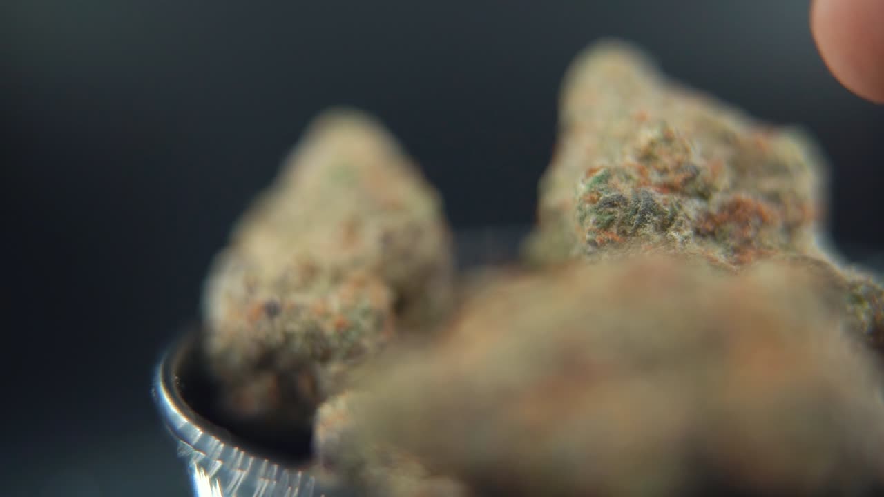 Uomo che ispeziona cime di cannabis Premium in un primo piano macro, leggero contatto manuale che mette in risalto i tricomi scintillanti — uno slow motion nitido a 120 fps pronto per l'uso commerciale