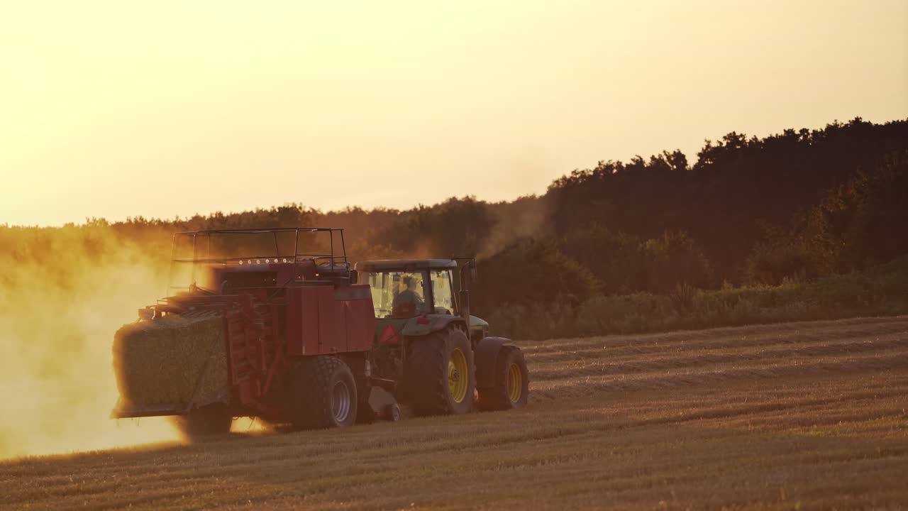 Tractor on the field during seasonal works at sunset. Agricultural machine pressing dry hay into square bale in the grassland on the trees background in the evening.