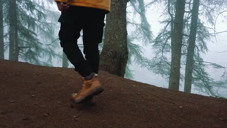 close up follow shot of male sneackers or hiking shoes walk in soil road inside forest