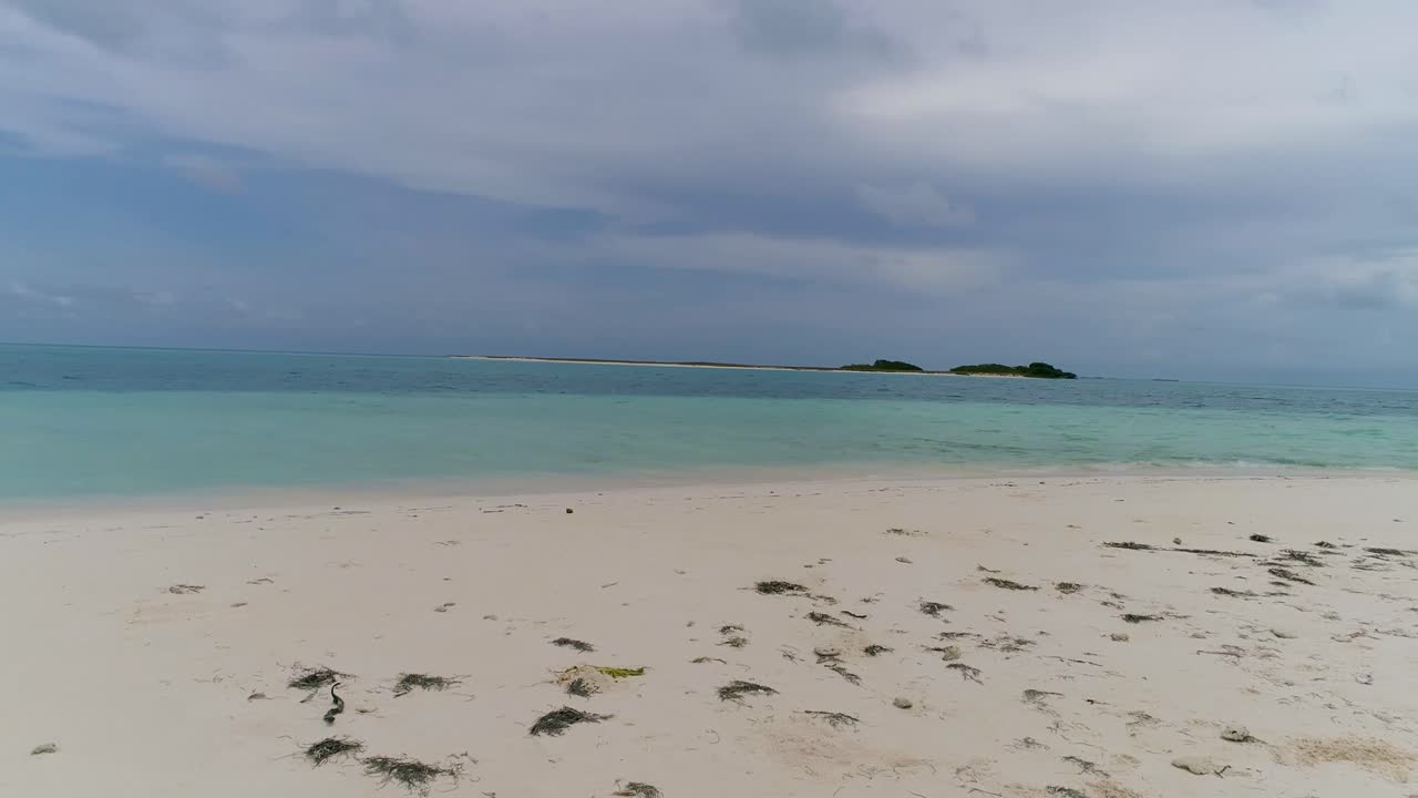Palms tree on white sand beach paradise tropical island, pan left low angle, background