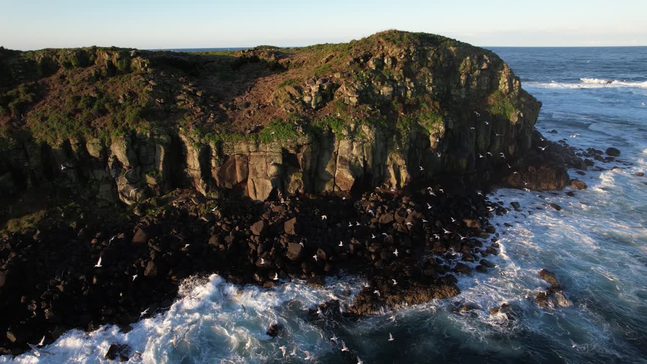Coastal Cliffs and Seabirds