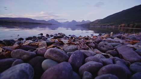 autumn scene and close up of leaves and rocks at lake mcdonald in montana