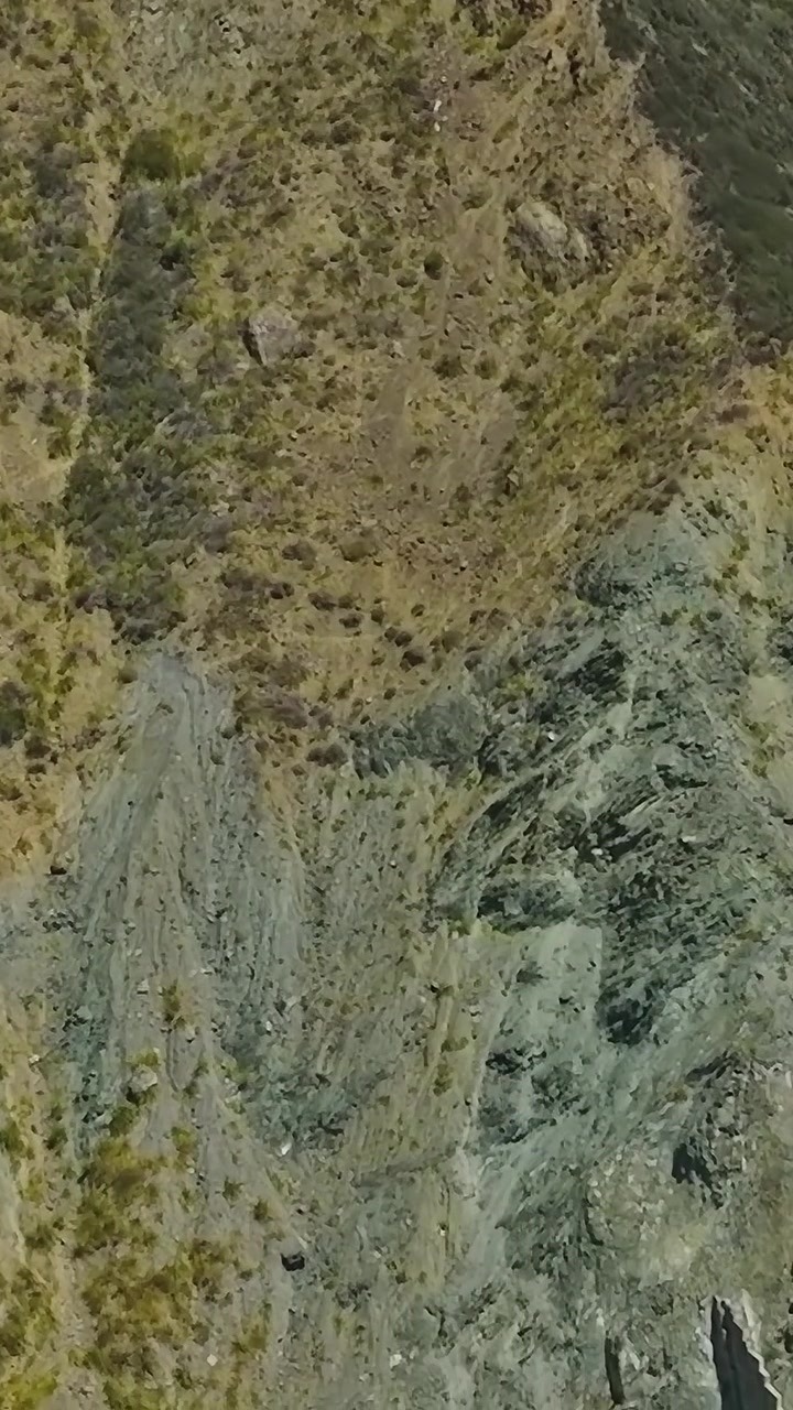 La vista mostra colline e montagne in California con alberi sui pendii