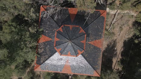 birdseye view of abandoned house overrun and surrounded by vegetation