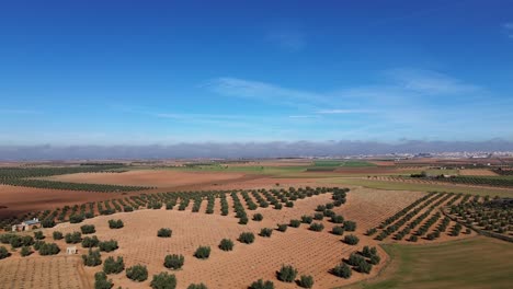 paisaje del campo de cultivos de la mancha con cielo azul desde una vista de avión no tripulado