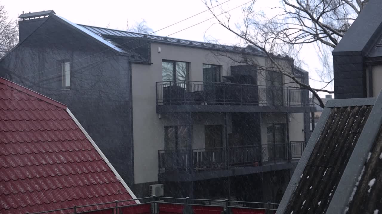 Windy and snowy day in the winter