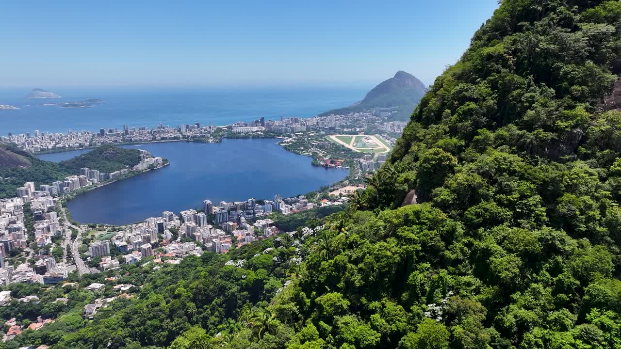 티주카 숲 브라질