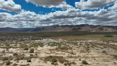 la cuenca del desierto de mojave inundada después de fuertes lluvias - aérea