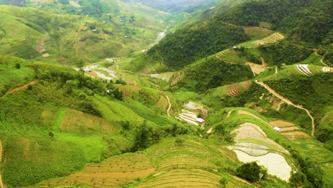 inmenso valle repleto de exuberantes terrazas de arroz verde en el norte de vietnam