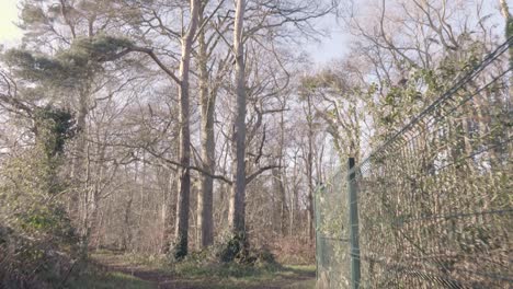 a steep hallway in the subway exiting into the forest with bare and green trees under the warm weather in north ireland. -wide shot