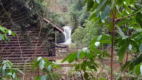 View-of-waterfall-in-distance-next-to-forest-hut-in-the-Schwarzwald-Germany