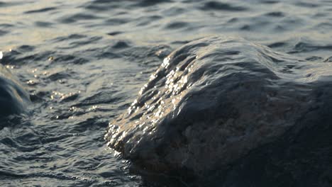 close up slow motion footage of ocean sea water waves hitting rocks in a beach during sunset or sunrise. water is flowing on the large rocks, splashing. smooth movement and water is reflecting the sun