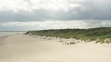 aerial shot flying over a beautiful white beach and green dunes on a cloudy day