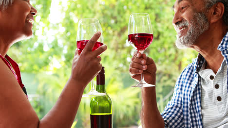 una pareja de ancianos brindando con vasos de vino en casa.