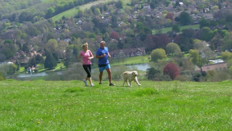 mature couple with dog jogging in countryside shot on r3d