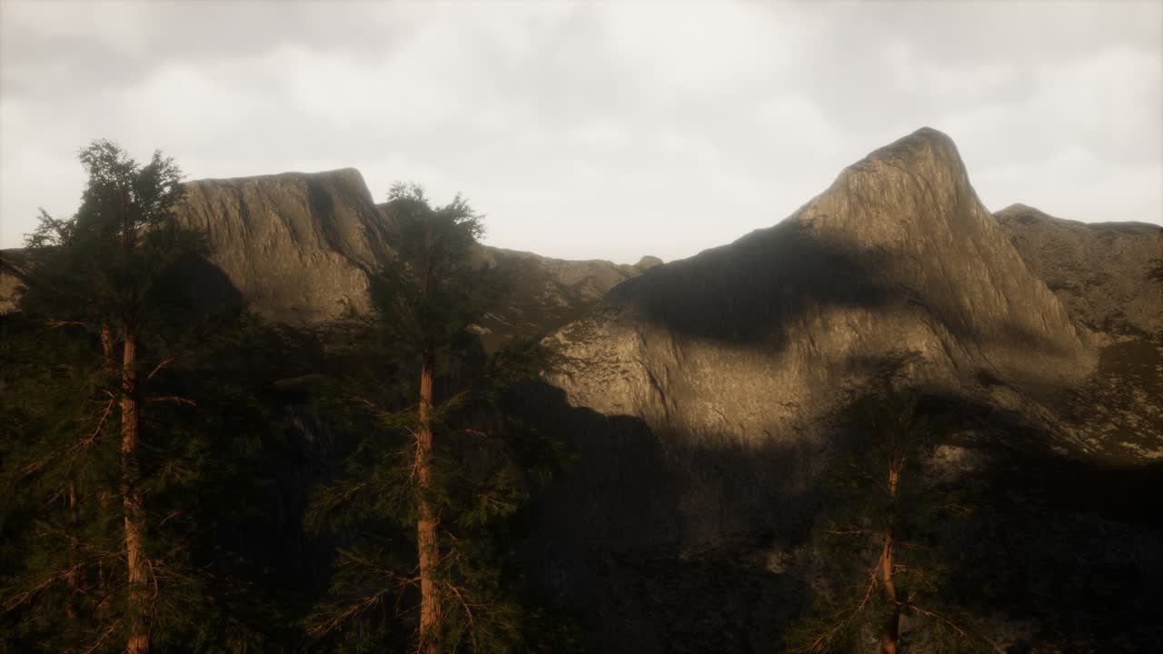 acantilado con árboles y la luz del sol