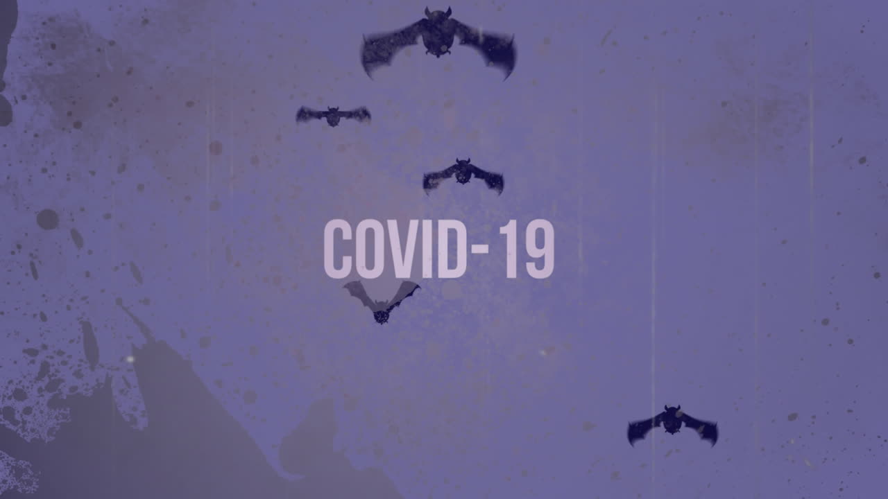 animación de murciélagos volando con texto de covid-19 en un fondo púrpura angustiado