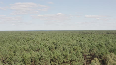 aerial ascending shot of a vast forest