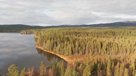 drone flying over swedish lakefront alpine forest trees on a cloudy day