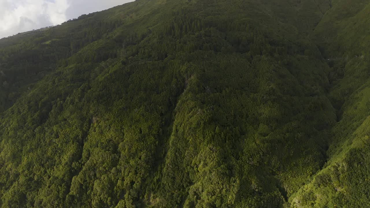 exuberantes acantilados verdes dramáticos de una isla, isla de são jorge, las azores, portugal