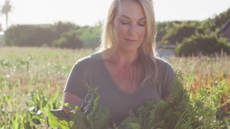 video of happy caucasian woman with box of fresh vegetables in field on sunny day