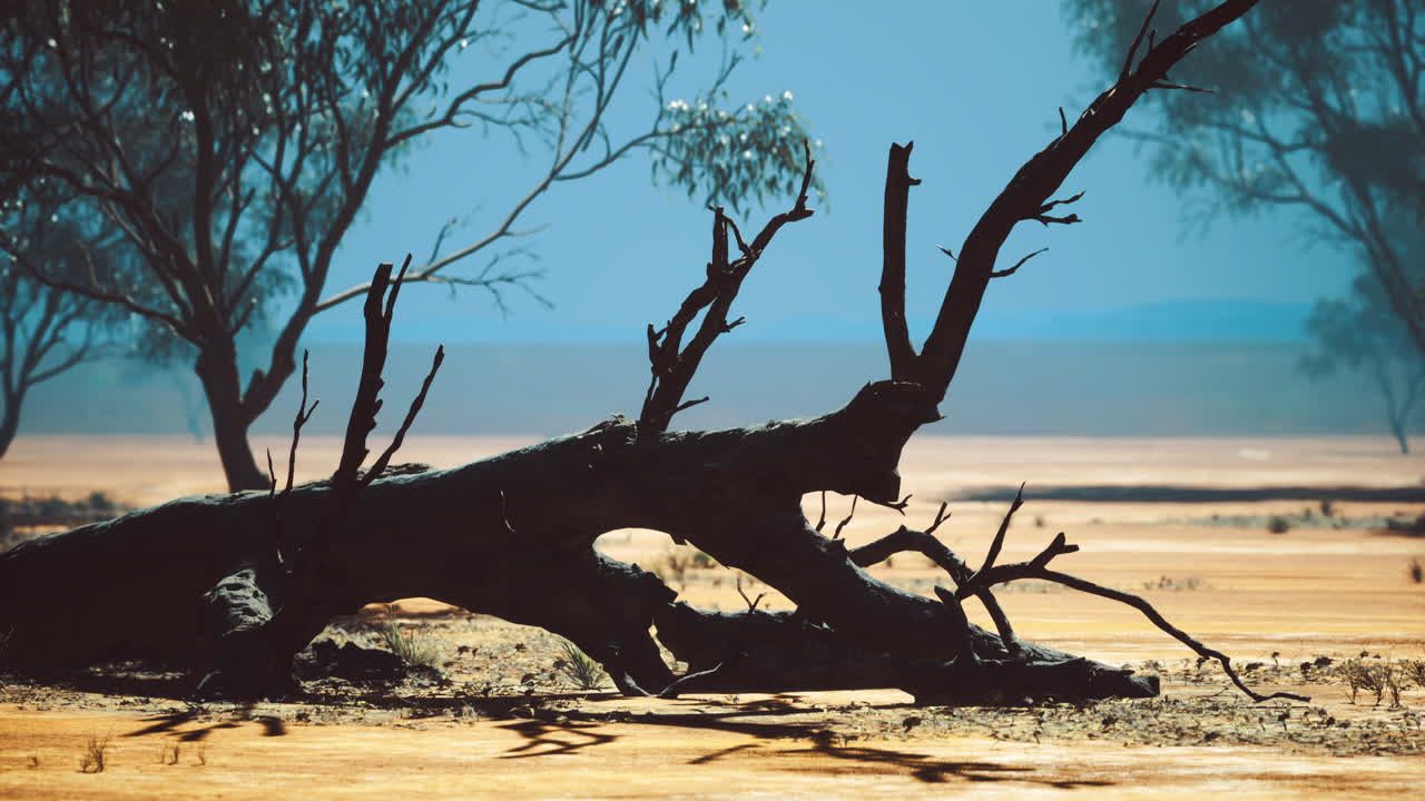 Desolate landscape with fallen tree trunk under bright blue sky
